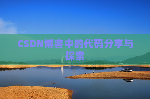 CSDN博客中的代码分享与探索